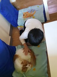 View of cat lying on floor