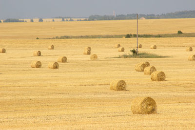 Hay bales on field against sky