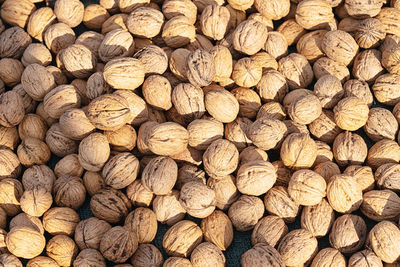 Full frame shot of walnuts for sale at market