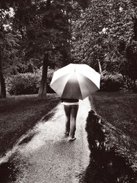 Full length rear view of woman standing in park