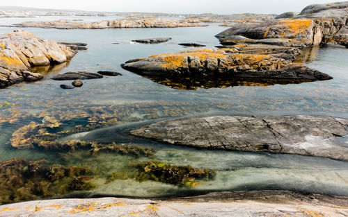 Scenic view of sea shore