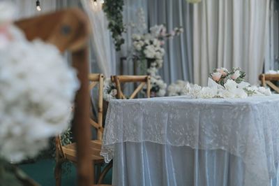 Close-up of white cat on chair