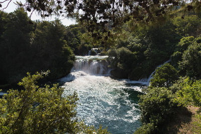 Scenic view of waterfall in forest