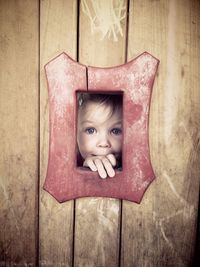 Close-up portrait of girl seen through wooden play equipment