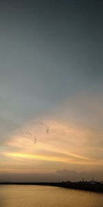 Birds flying over sea against sky during sunset