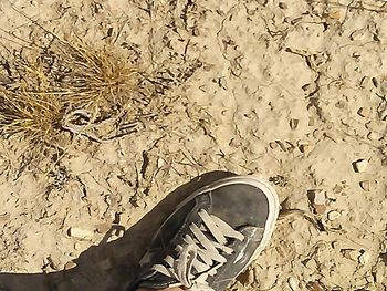 Close-up of shoes in water