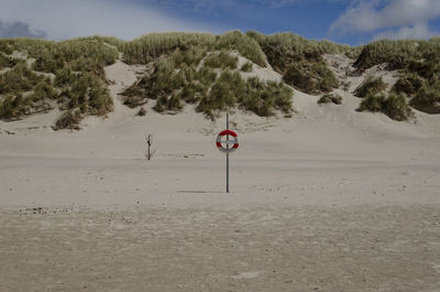 Beach on the north sea