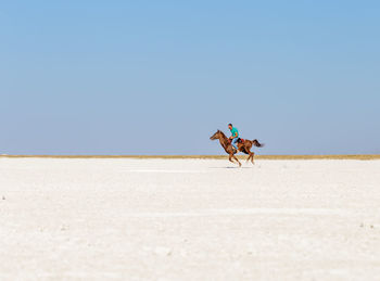 Man riding horse on sand against clear sky