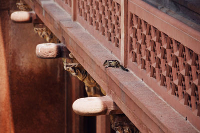 Close-up of metallic gate