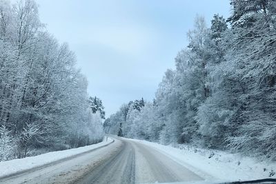 Road amidst trees against sky during winter