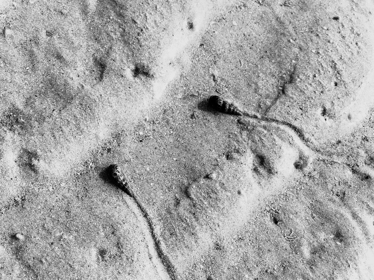 HIGH ANGLE VIEW OF FOOTPRINT ON SAND