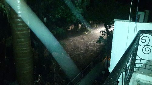 View of trees at night