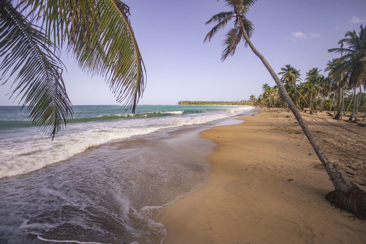 land, beach, sea, water, tropical climate, palm tree, sand, tree, sky, body of water, nature, beauty in nature, scenics - nature, plant, ocean, coconut palm tree, travel destinations, shore, tranquility, coast, tropics, travel, tropical tree, vacation, holiday, trip, environment, tranquil scene, coastline, wave, water's edge, island, landscape, tourism, idyllic, outdoors, horizon over water, no people, cloud, seascape, motion, day, horizon, clear sky, blue, sports, coconut, sunlight, summer, sunny, water sports, relaxation, sun, bay, leaf
