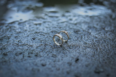 The jewel ring couple