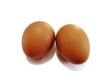 Close-up of eggs against white background