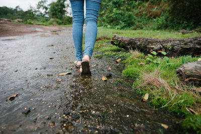 Low section of person walking on stream in forest