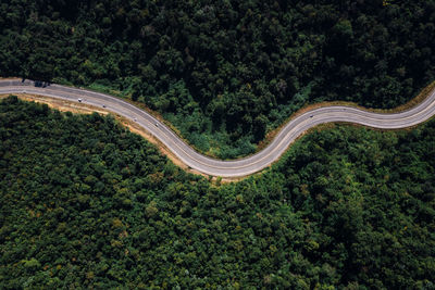 Long road curved in valley connecting countryside in the rainforest and the verdant hill forest 