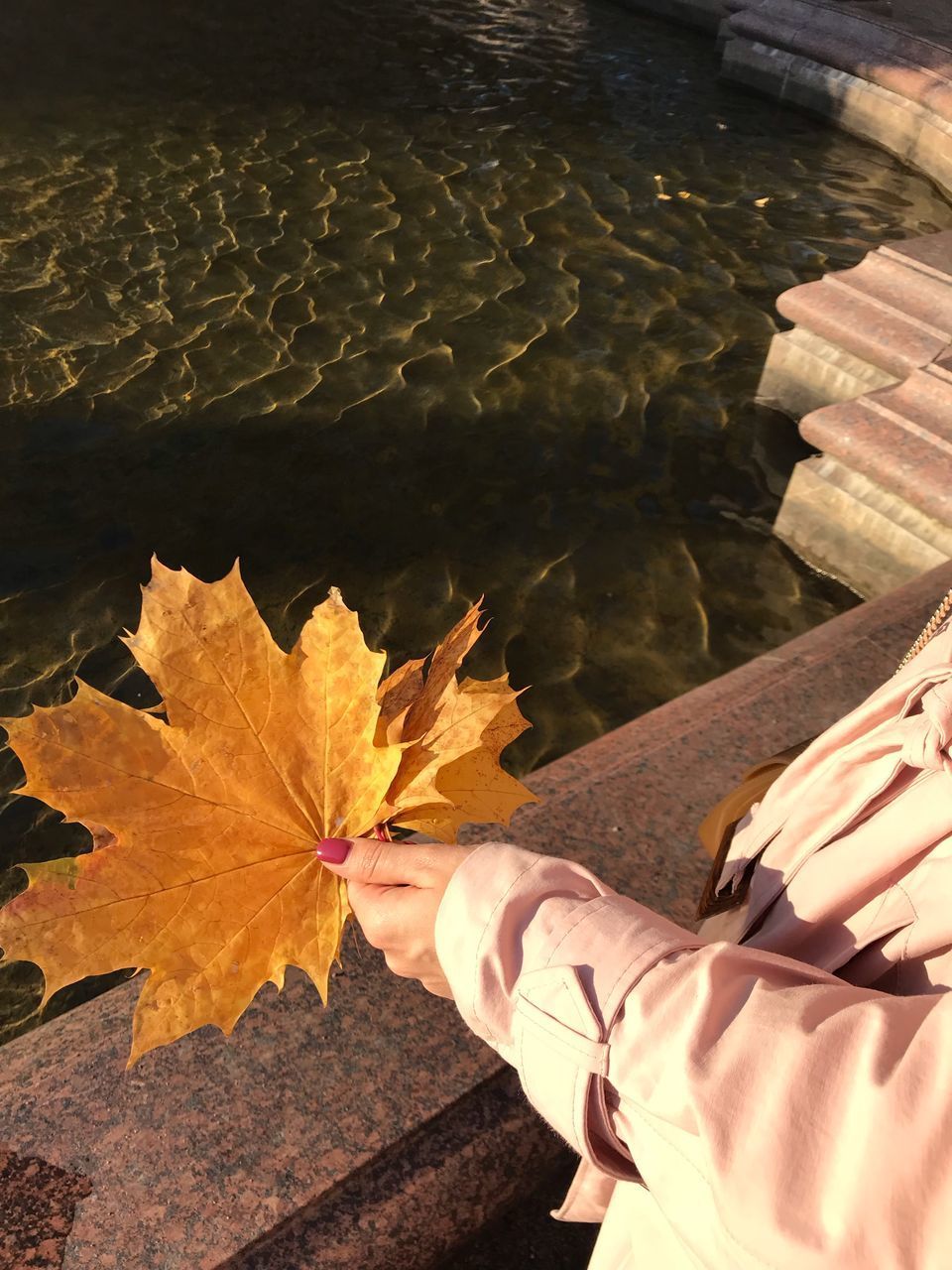 HIGH ANGLE VIEW OF PERSON HOLDING MAPLE LEAF