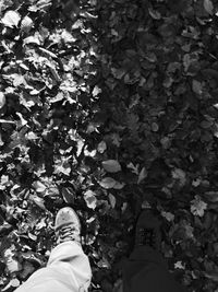 Low section of man standing on autumn leaves