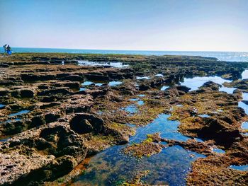 Scenic view of sea against clear sky