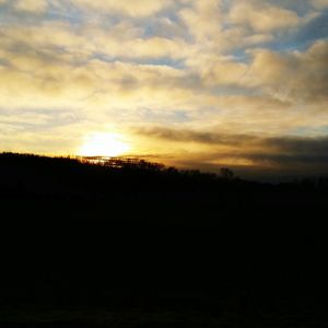 Scenic view of landscape at sunset