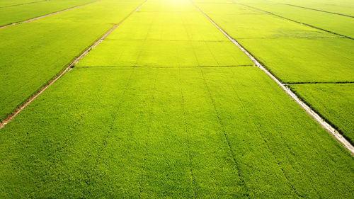 High angle view of green field