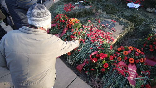 High angle view of woman standing by flowering plants