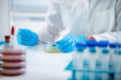 Microbiology researcher working in a laboratory, using an inoculation rod to spread out culture