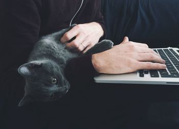 Close-up of cat lying on man working on laptop