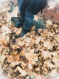 Low section of man standing on autumn leaves