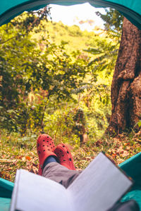 Low section of man against trees