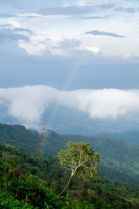 Aerial view of landscape