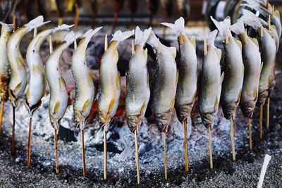 Close-up of fish on barbecue grill