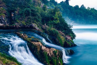 Scenic view of waterfall in forest