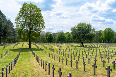 A lot of small, concrete crosses at the german war cemetery in the netherlands.