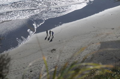 High angle view of friends walking at beach 