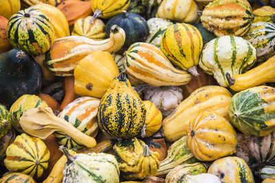 Full frame shot of pumpkins in market