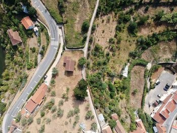 High angle view of road amidst trees