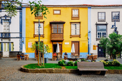 Potted plants by building