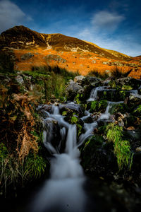 Scenic view of waterfall in forest