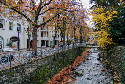 Canal amidst leaves and trees during autumn