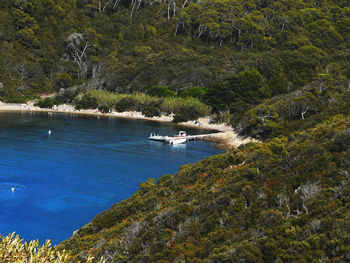 Boats sailing on sea