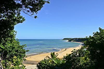 Scenic view of sea against clear sky