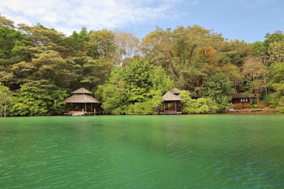 Scenic view of lake by trees against sky
