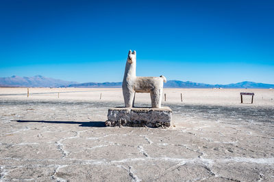 View of horse on landscape against blue sky