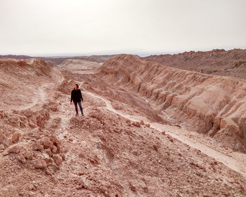 Rear view of man on desert against sky