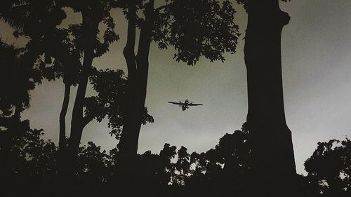 Low angle view of trees against sky