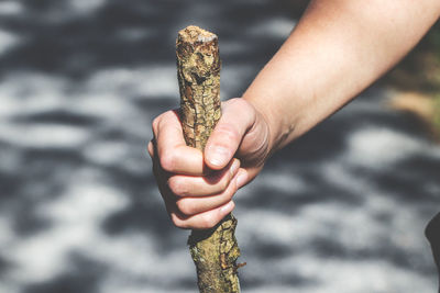 Close-up of hand holding stick