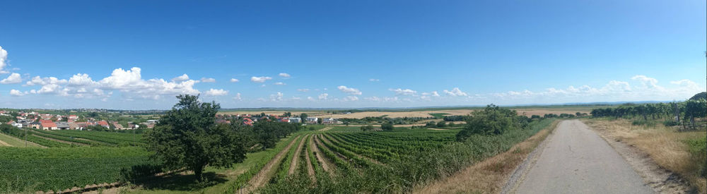 Scenic view of field against cloudy sky