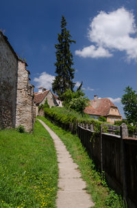 Footpath leading to building